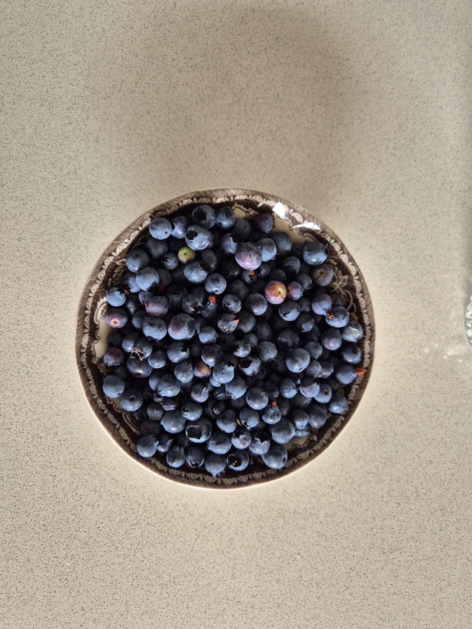 Blueberries in a bowl
