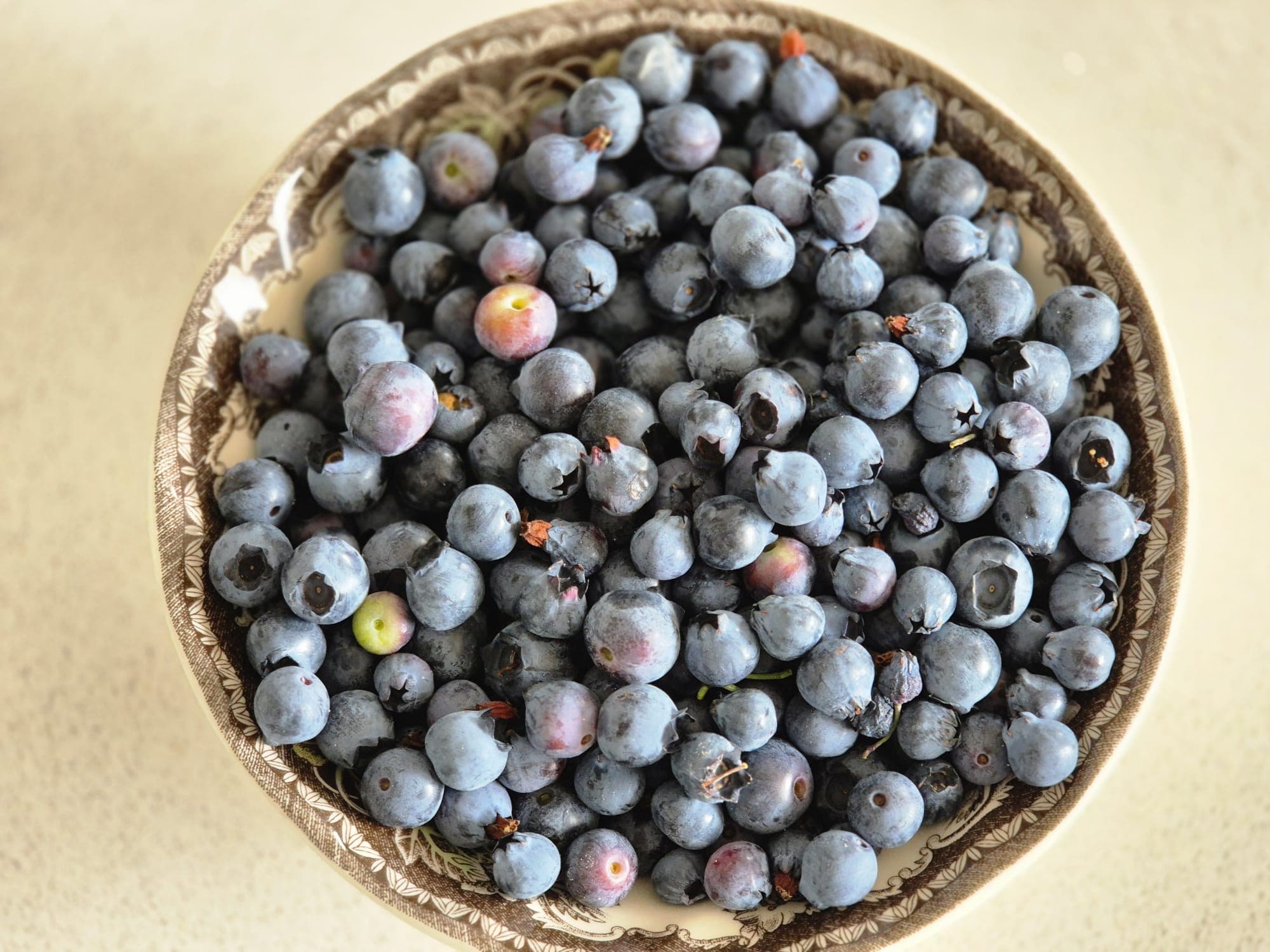 Blueberry bowl