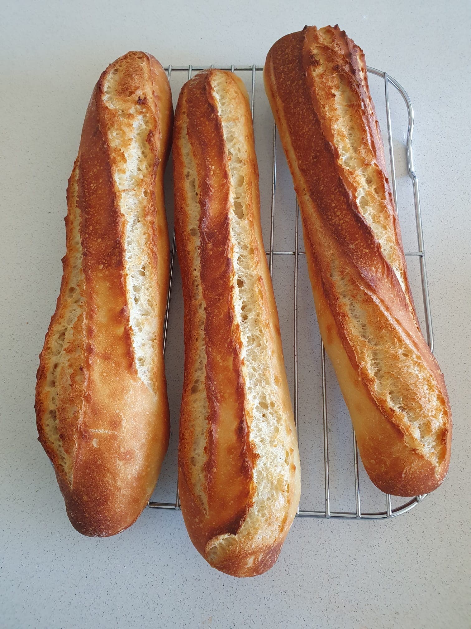 Sour Dough product image