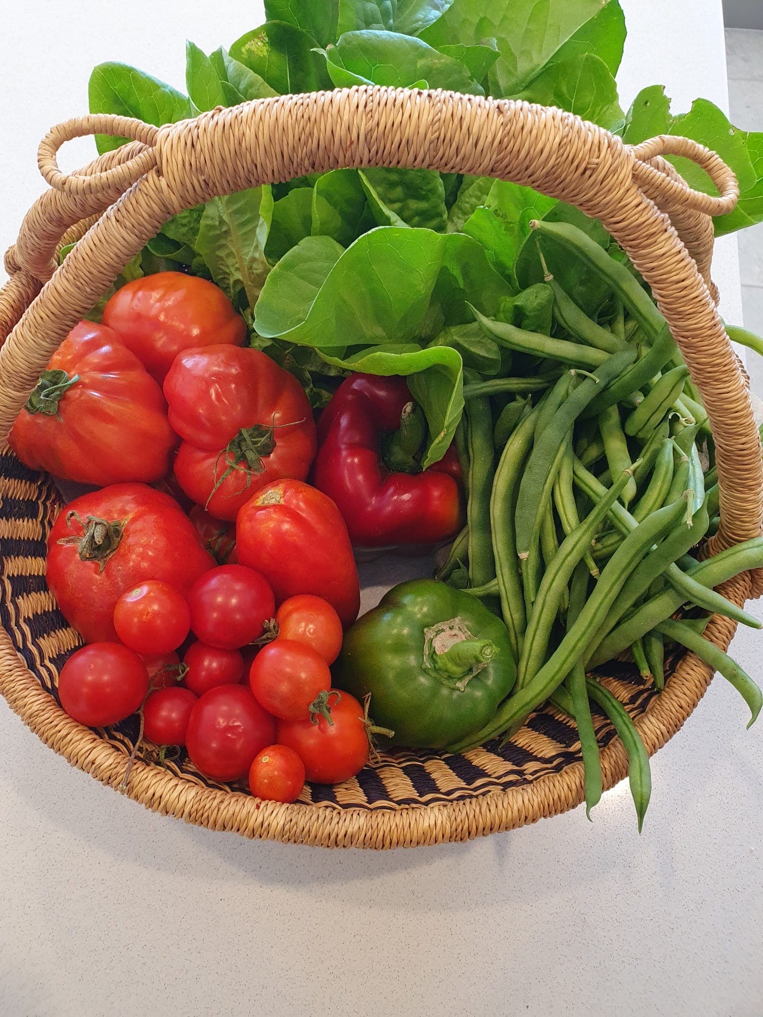 Beautiful basket of vegetables (second shot)