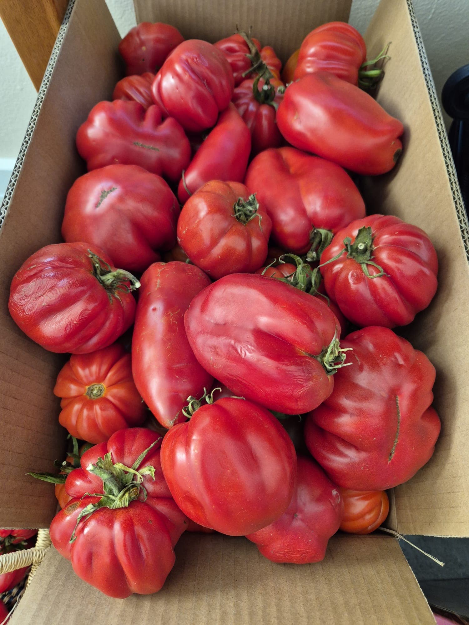 Box of tomatoes