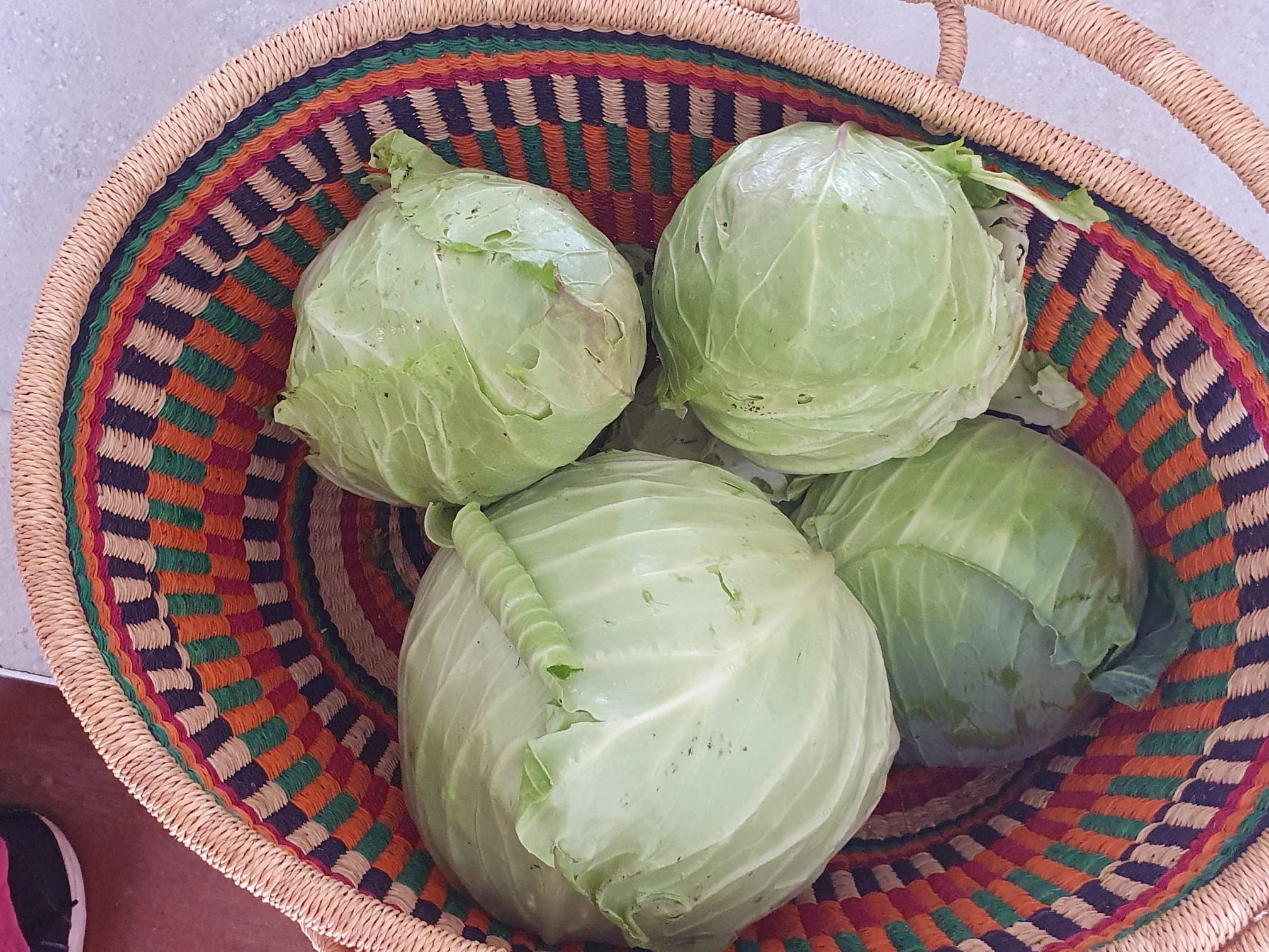 Cabbages