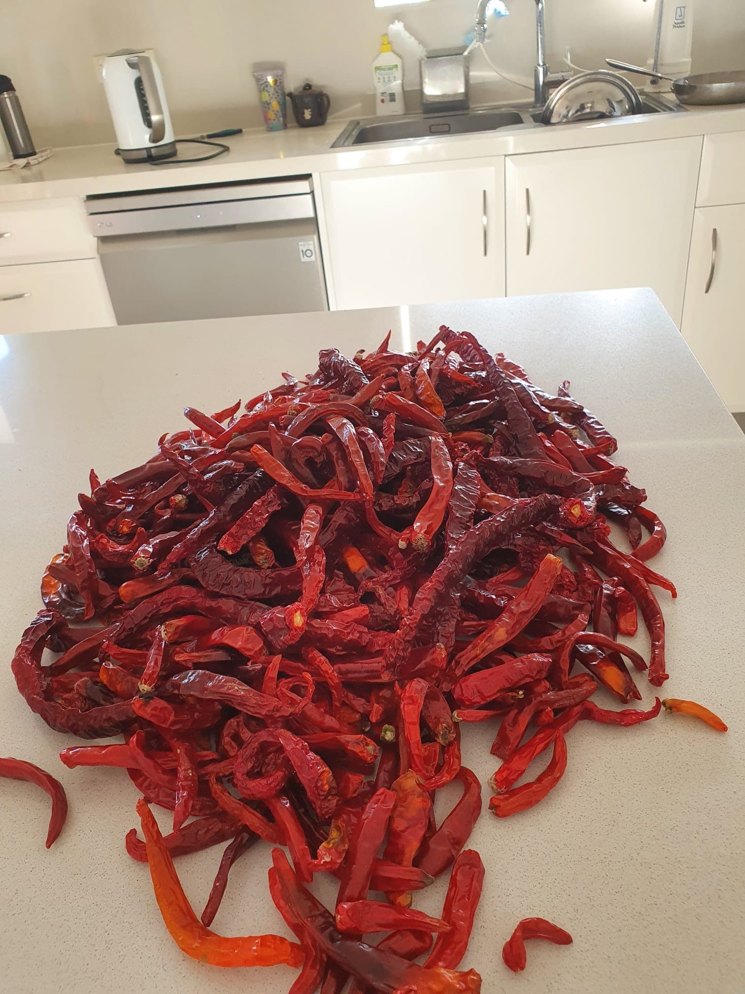 Dried chillies