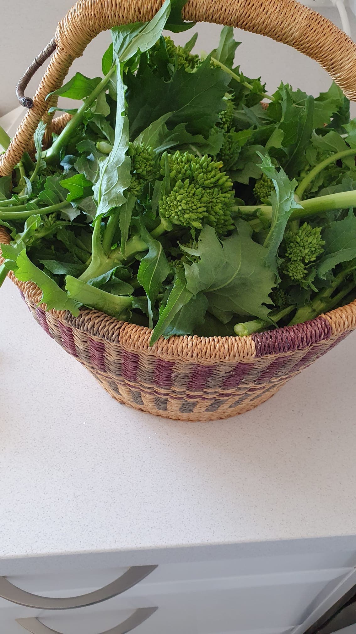 Basket of green produce