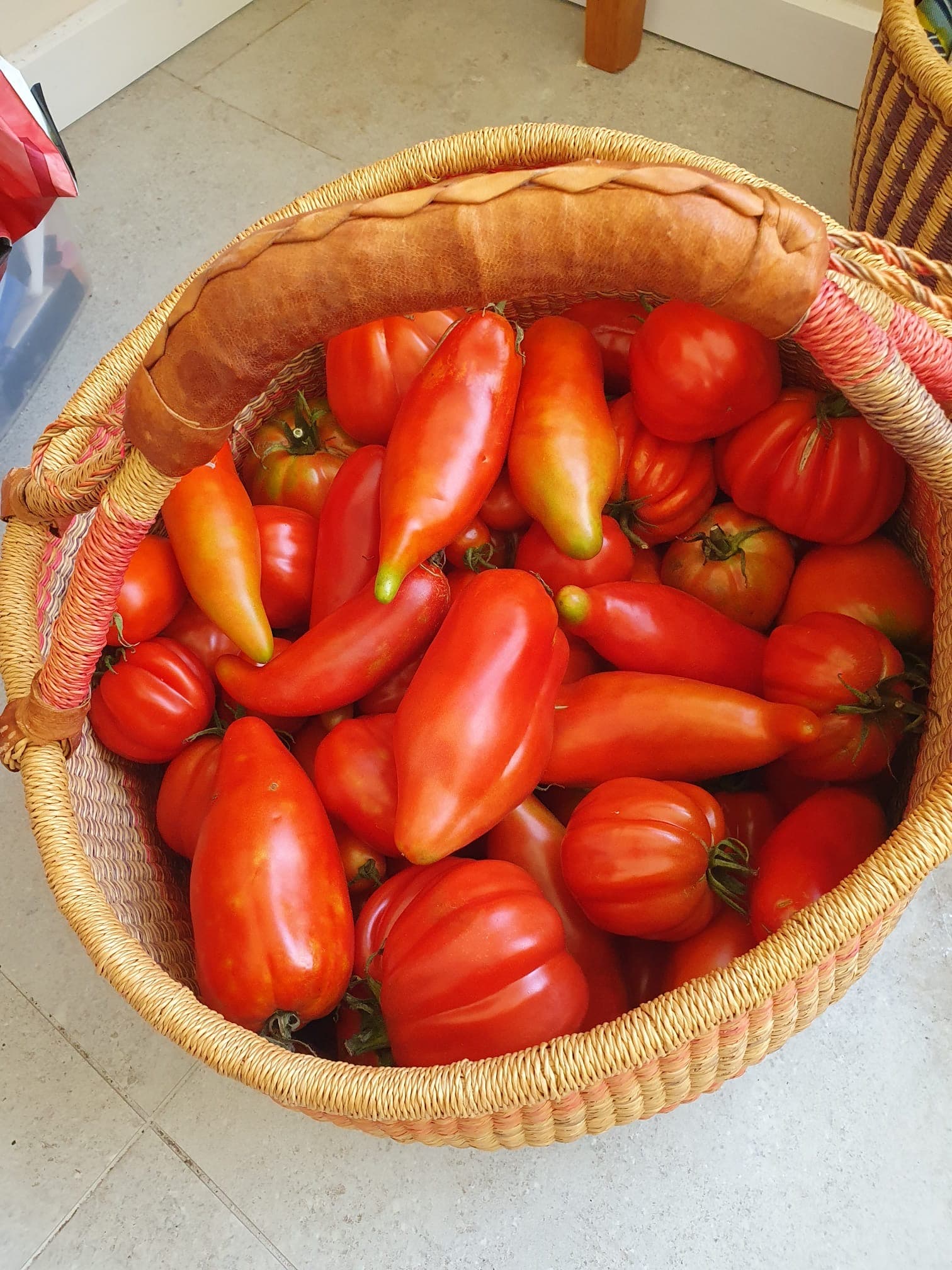 Long tomatoes in a basket