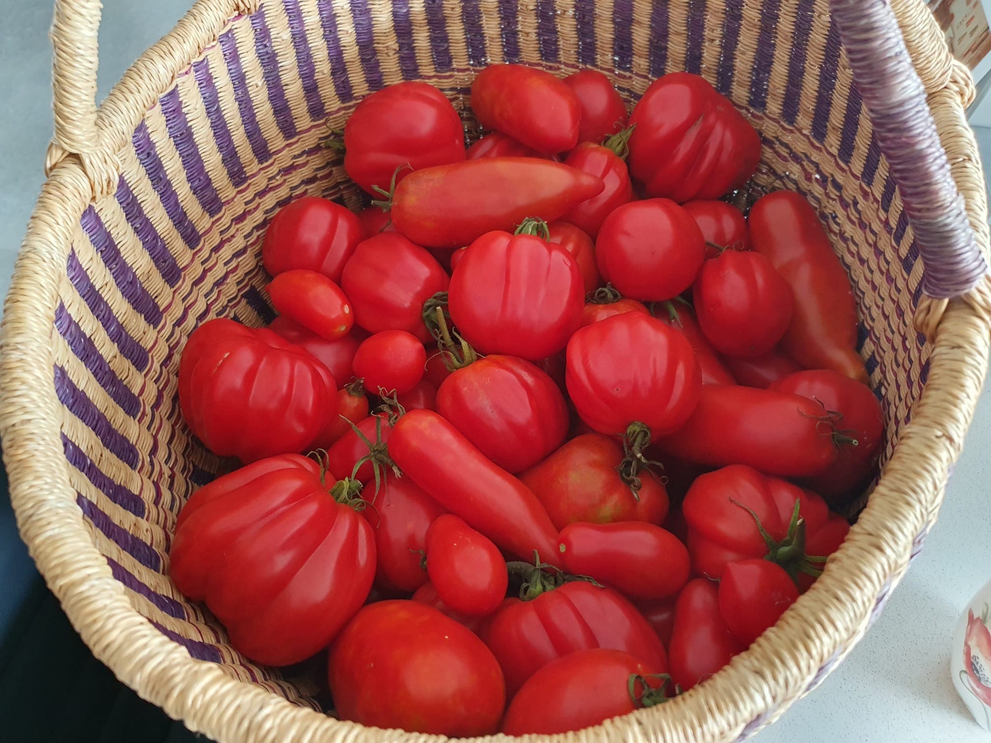 Mini tomatoes basket