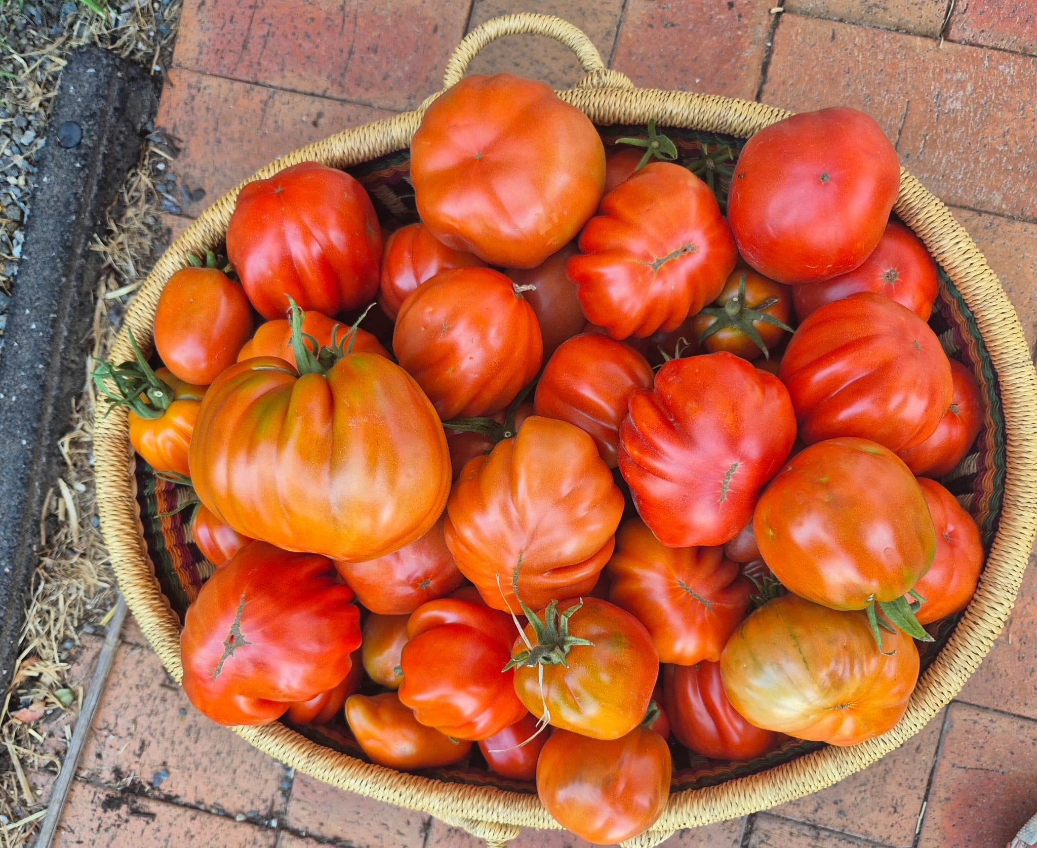 Tomato basket